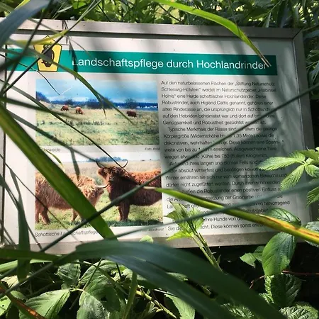 Daire Seaside Glücksburg