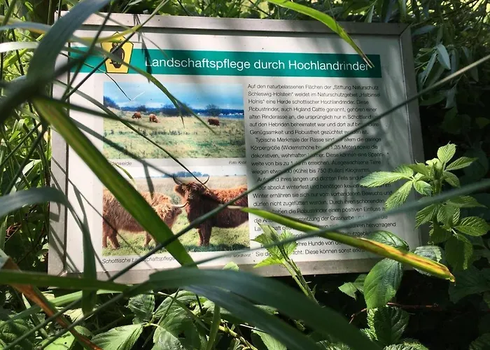 Appartamento Seaside Glücksburg